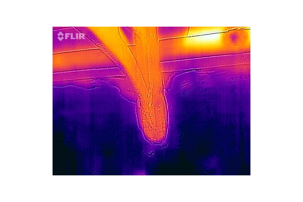 Marine Surveyor Stuart Florida Infrared Thermography Testing
